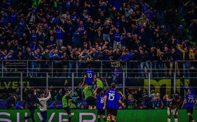 法国球员登 法国球员登